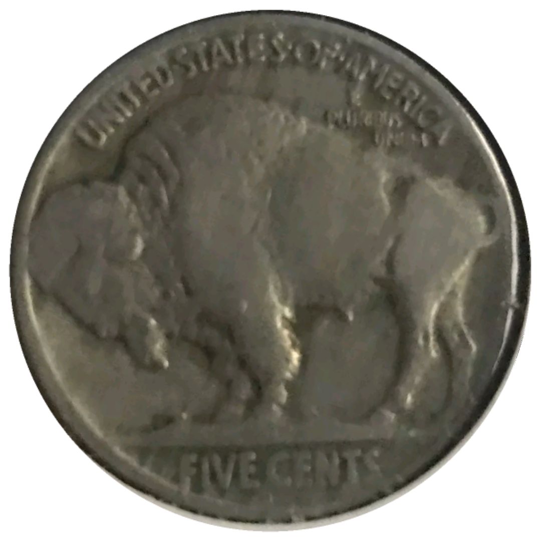 1924-D-Buffalo-Nickel